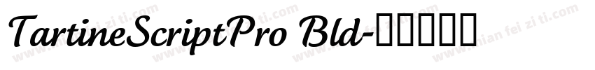 TartineScriptPro Bld字体转换